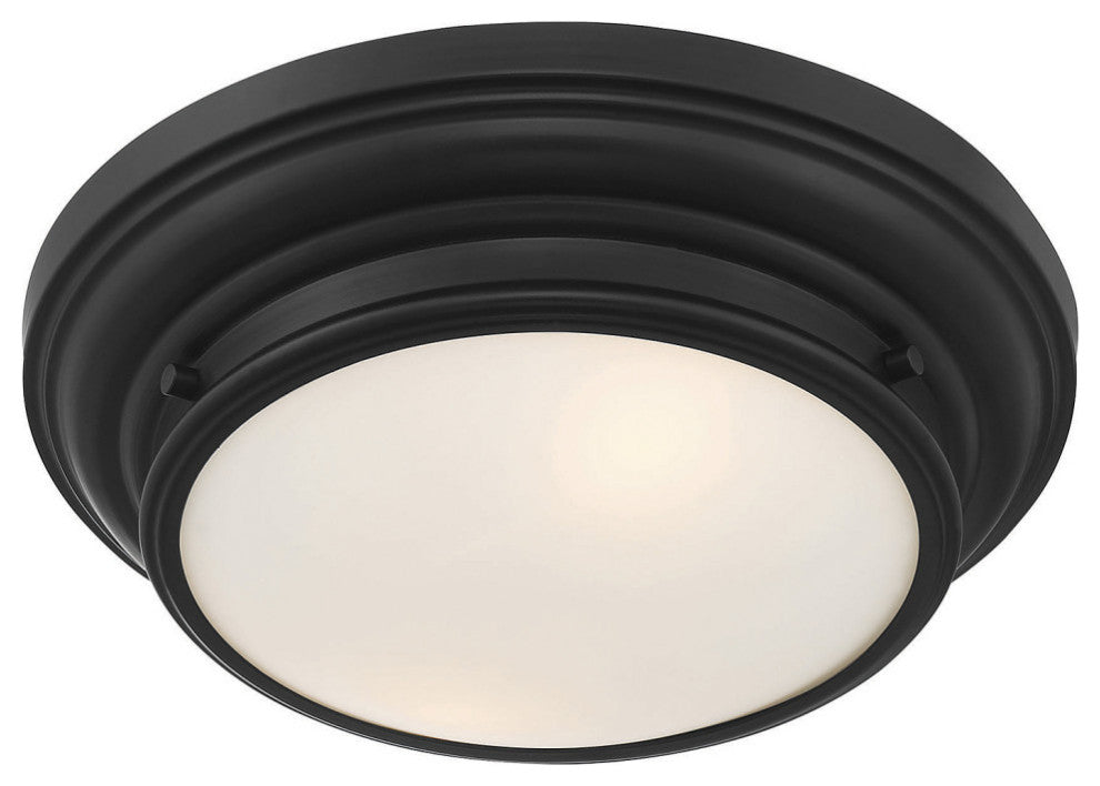 2-Light Ceiling Light, Matte Black