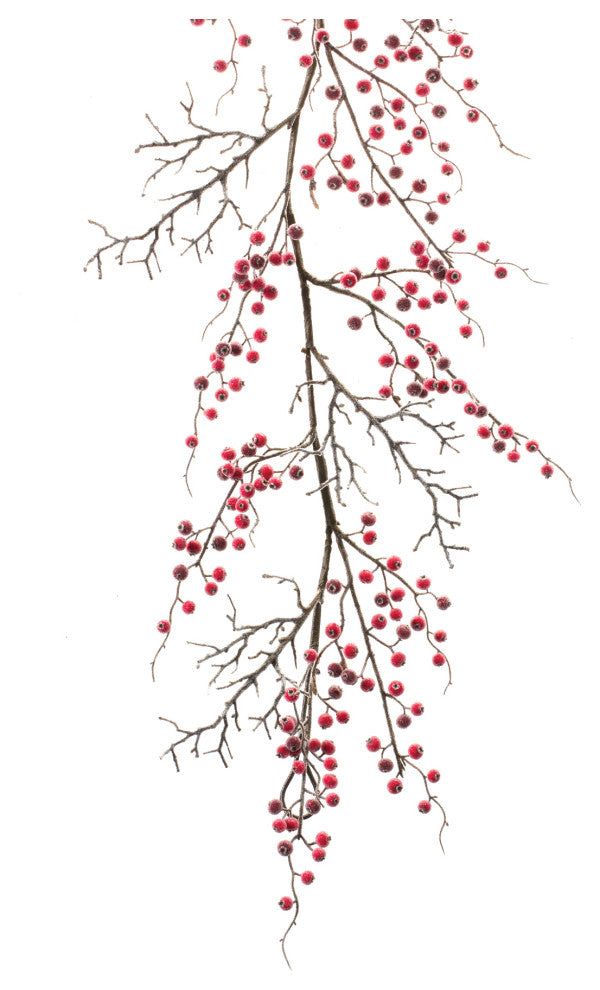 Iced Berry Twig Garland 5'L