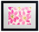 Cora Niele ''Cerise Pink Tulips'' Matted Framed Art