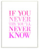 "If You Never Try Youll Never Know" Wall Plaque Art