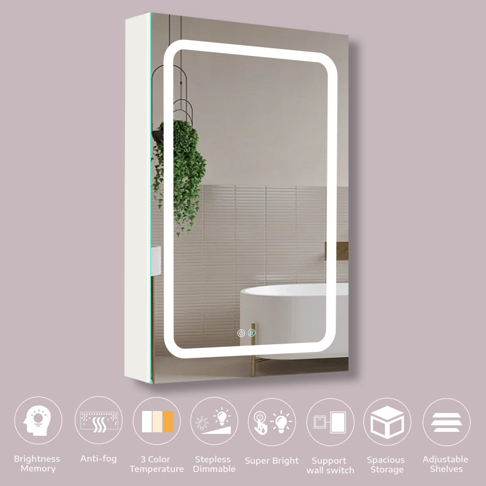 20 in.W x 30 in. H Aluminum Surface Mounted Medicine Cabinet with Door