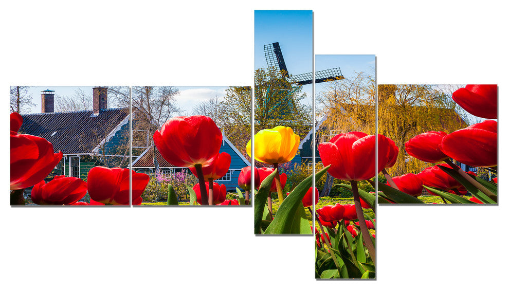 Tulips in the Netherlands Village, Floral Canvas Art Print, 60"x32", 5 panels