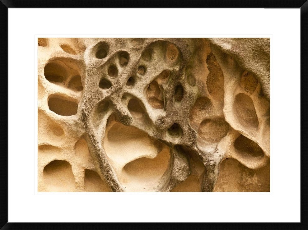 Cavernous Weathering In Sandstone Rock, Sydney, Australia, 30"x22"