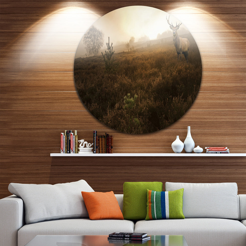 Mist Forest With Red Deer Stag, Landscape Photo Disc Metal Artwork, 23"