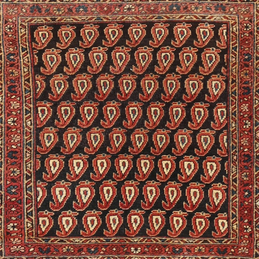 Ahgly Company Indoor Square Traditional Area Rugs, 8' Square