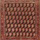 Ahgly Company Indoor Square Traditional Area Rugs, 8' Square