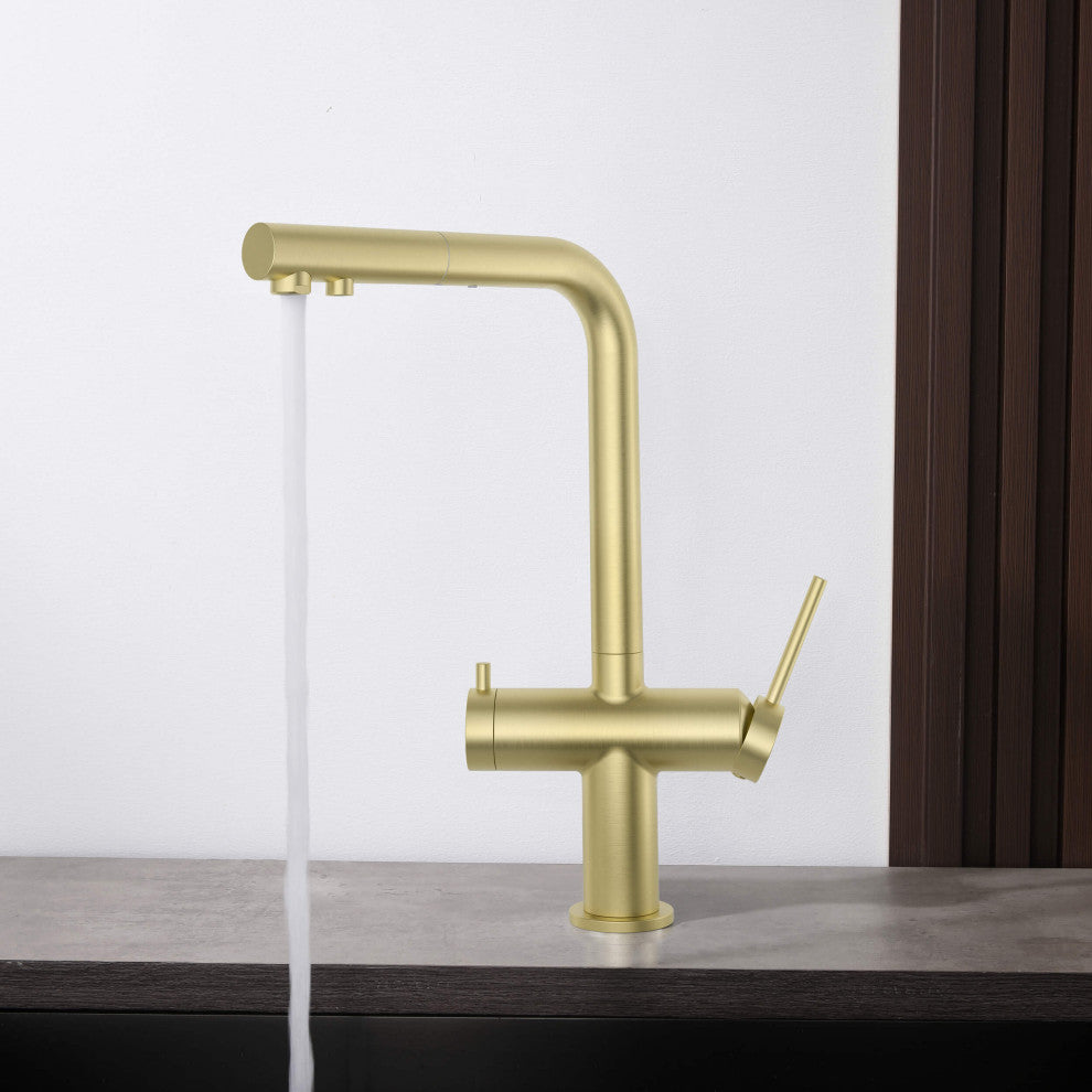 Circular 2-in-1 Water Filter Kitchen Pull Out Faucet, Brushed Gold