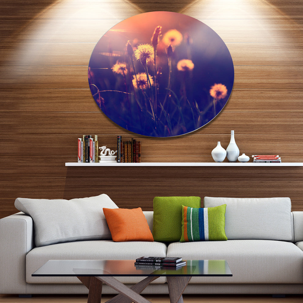 Vintage Photo Of Dandelion Garden, Flower Round Metal Wall Art, 38"