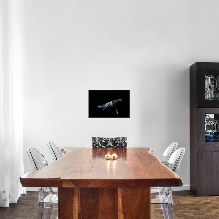 "Black and Whale" Framed Canvas Giclee by Barathieu Gabriel, 23x16"