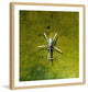 "Helicopter" Framed Painting Print by Karolis Janulis