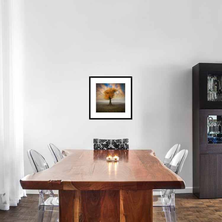 "Lonesome" Framed Digital Print by Piotr (Bax) Krol, 24x24"