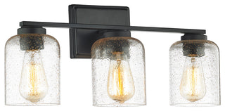 3 Light Modern Vanity Light in Black