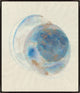 30x35 Mavi Daire I, Framed Artwork, Espresso