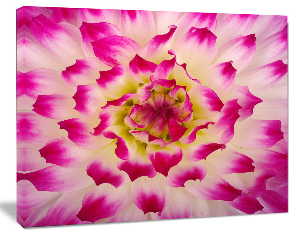Smooth White Rose Flower Petals, Floral Canvas Art Print, 40"x30"