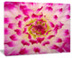 Smooth White Rose Flower Petals, Floral Canvas Art Print, 40"x30"