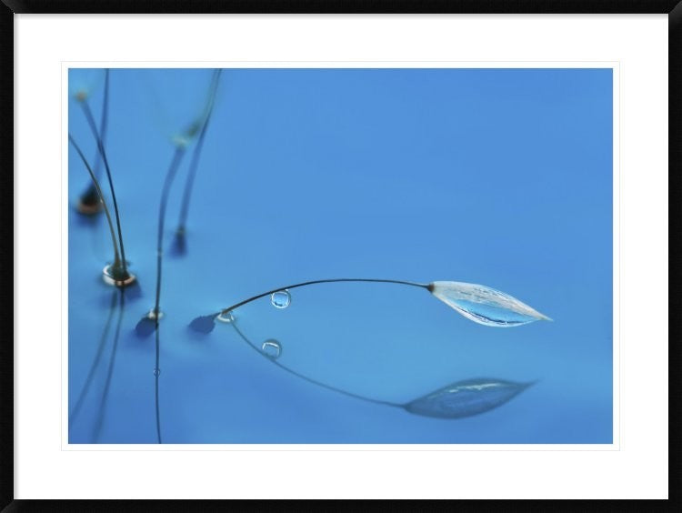 "Blue Water" Framed Digital Print by Heidi Westum, 38"x28"