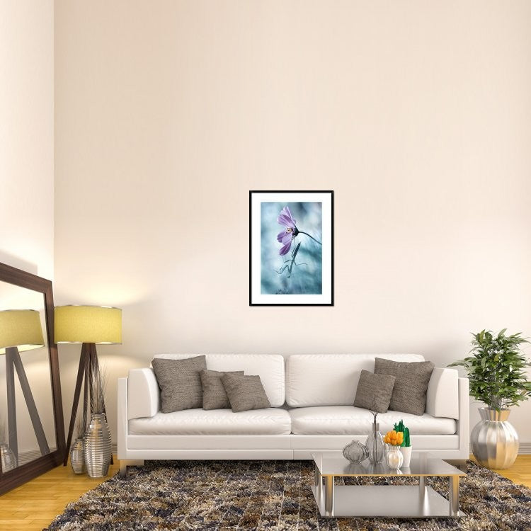 "Newtonian Physics" Framed Digital Print by Fabien Bravin, 28"x38"