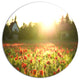 Poppy Field Under Bright Sunlight, Landscape Round Metal Wall Art, 11"