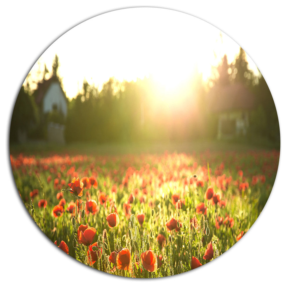 Poppy Field Under Bright Sunlight, Landscape Round Metal Wall Art, 11"