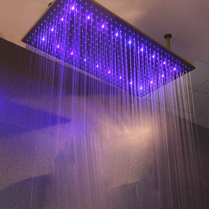Martinique 20"X40" Large Oil Rubbed Bronze Solid Brass LED Rain Shower Head