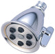 Dual Function Showerhead, Polished Chrome