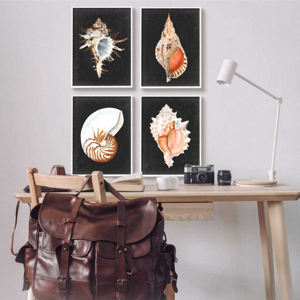 Sea Shell Clam Conch Collection Realistic Illustration , 4pc, each 16 x 20