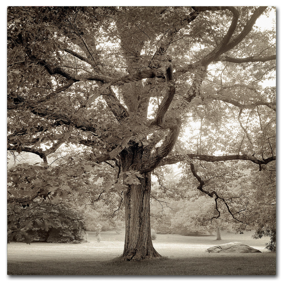 Alan Blaustein ''Hampton Maple I'' Canvas Art, 35x35