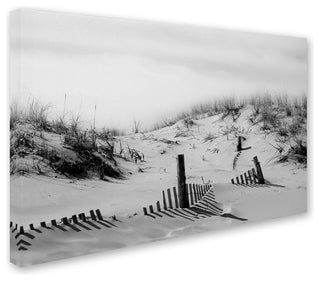PIPA Fine Art 'Buried Fences' Canvas Art, 19x12