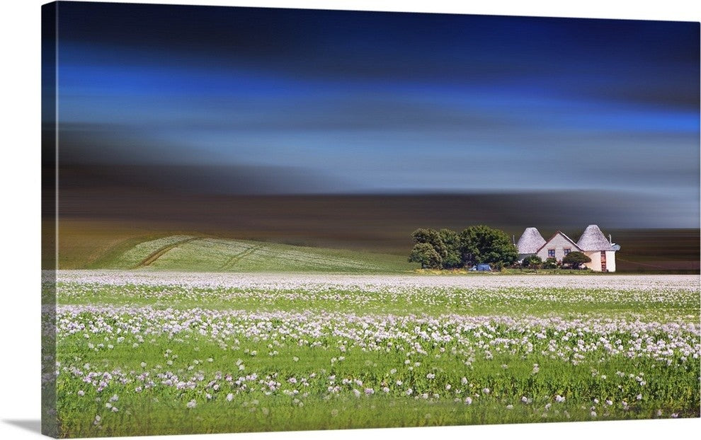 "Peaceful Dream II" Wrapped Canvas Art Print, 48"x30"x1.5"
