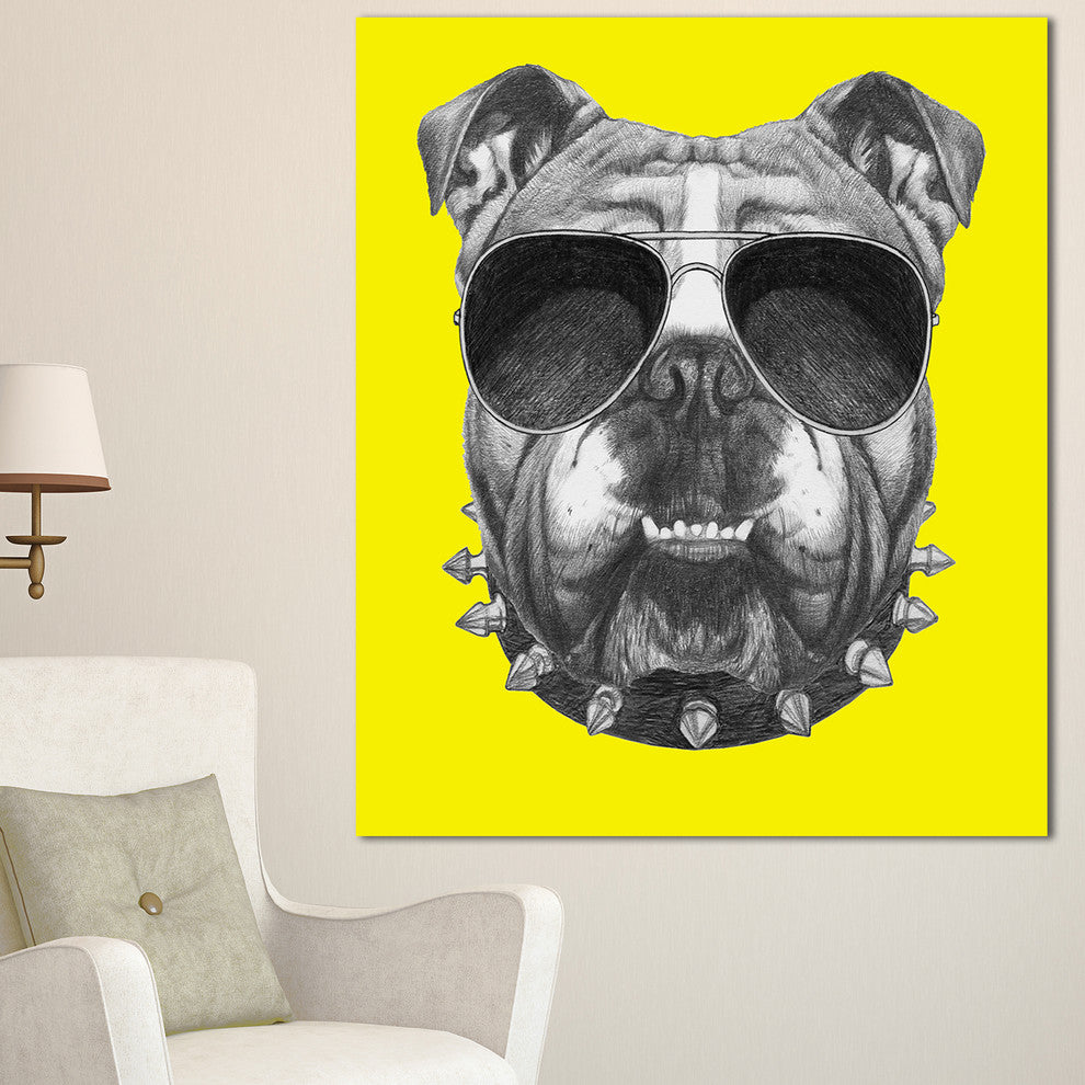 Funny English Bulldog with Collar, Contemporary Animal Art Canvas, 30"x40"