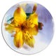 Yellow Lily Hand-Drawn Flower, Floral Disc Metal Wall Art, 11"