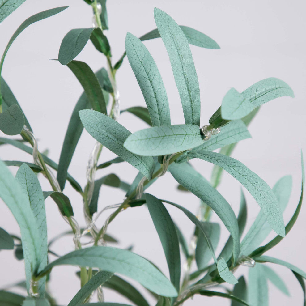 Close-up of leaves with neutral/white-like background; cropped.