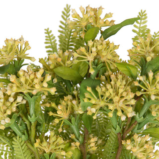 Close-up of greenery with flowers on white background.