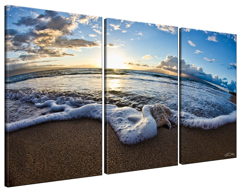Ready2HangArt Christopher Doherty 'Sea Star II' 3-piece Canvas Wall Art