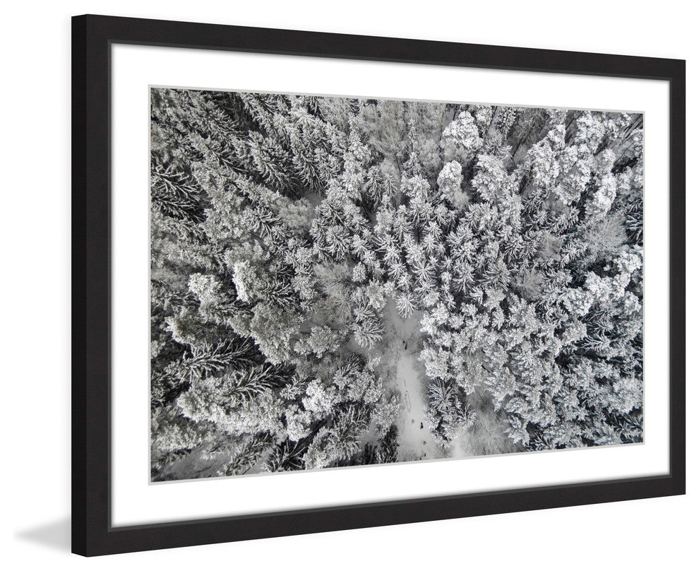 "Frozen Friends" Framed Print by Karolis Janulis