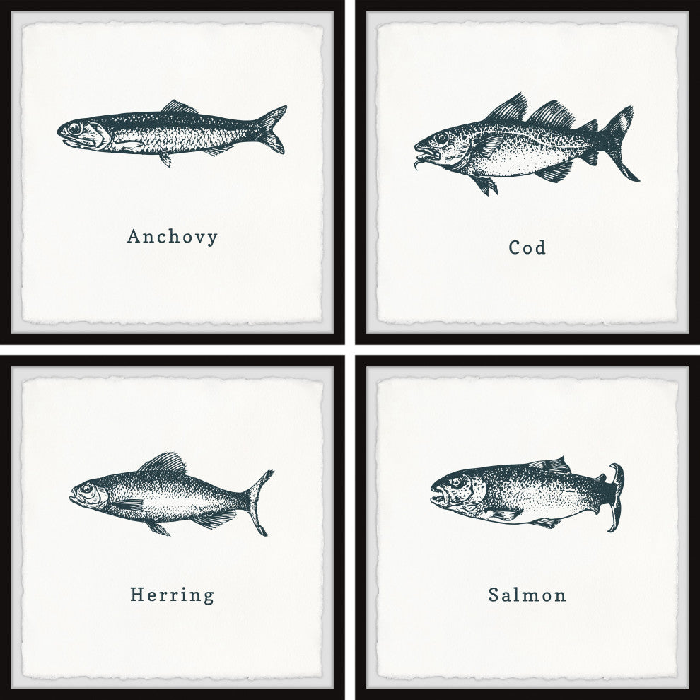 Anchovy and Salmon Quadriptych, 4-Piece Set, 18x18 Panels