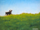 Tile Mural Contemporary Landscape High Cont Ricky Schembri, 6"x8", Matte