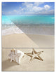 "Caribbean Beach Starfish" Beach Photography Metal Wall Art, 3 Panels, 28"x36"
