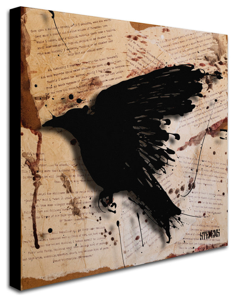 'The Raven 3' Canvas Art by Roderick Stevens