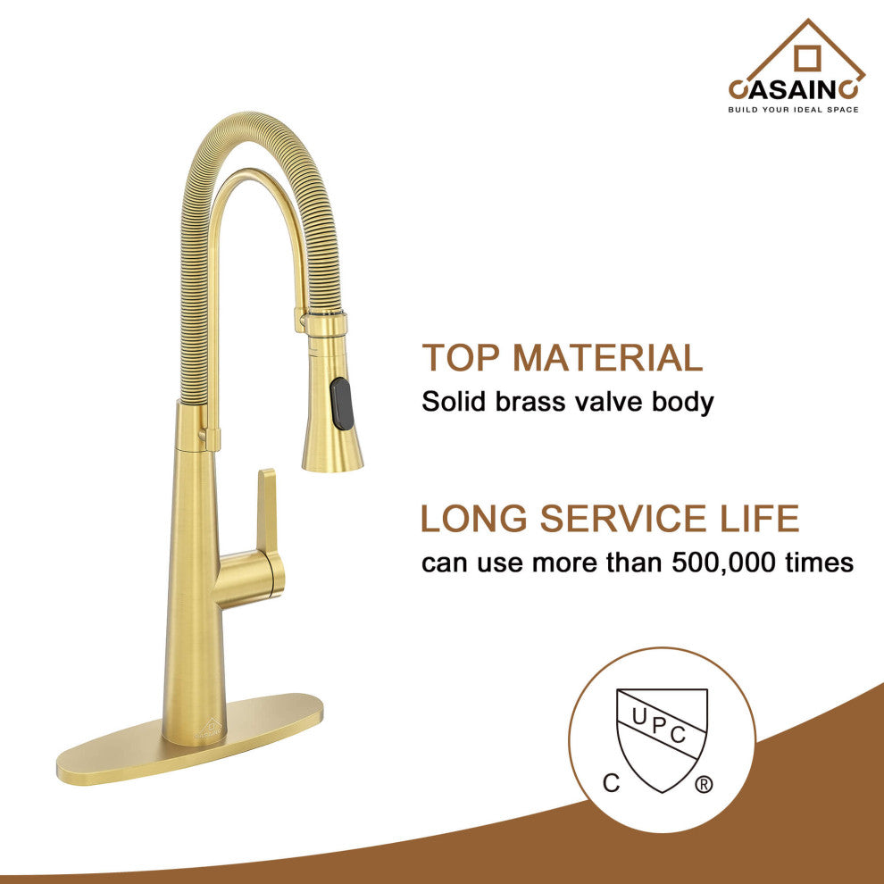 Single-Handle Spring Neck Standard Kitchen Faucet with Dual-Function, Brushed Gold