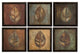 Uttermost 50890 New Leaf Framed Panel Set of 6