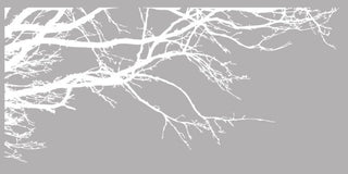 100"x44" Tree Top Branches Wall Decal Vinyl Sticker, Mattw White