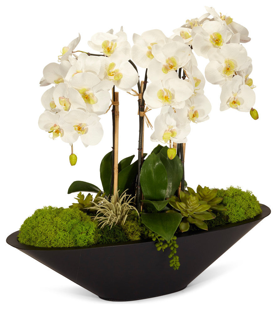 Orchid in Large Metal Boat, White