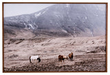 Wild Horses