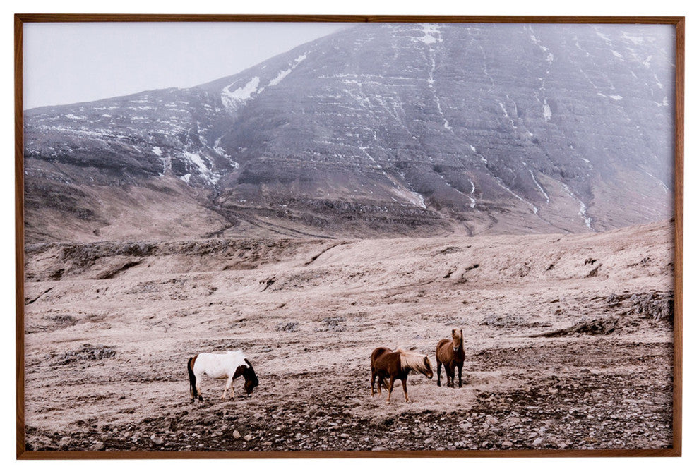 Wild Horses