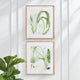 Aquatic Leaf Prints, Set of 2