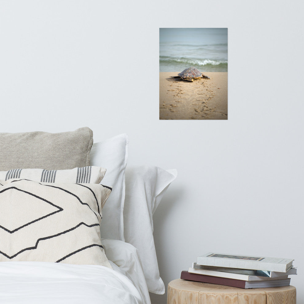 Baby Loggerhead Sea Turtle Beach Ocean Photograph Loose Wall Art Print, 12" X 16"