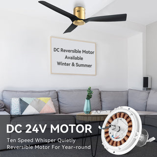 CARRO 52" 3 Blades Flush Mount Ceiling Fan with Remote Control No Light, Black/Gold