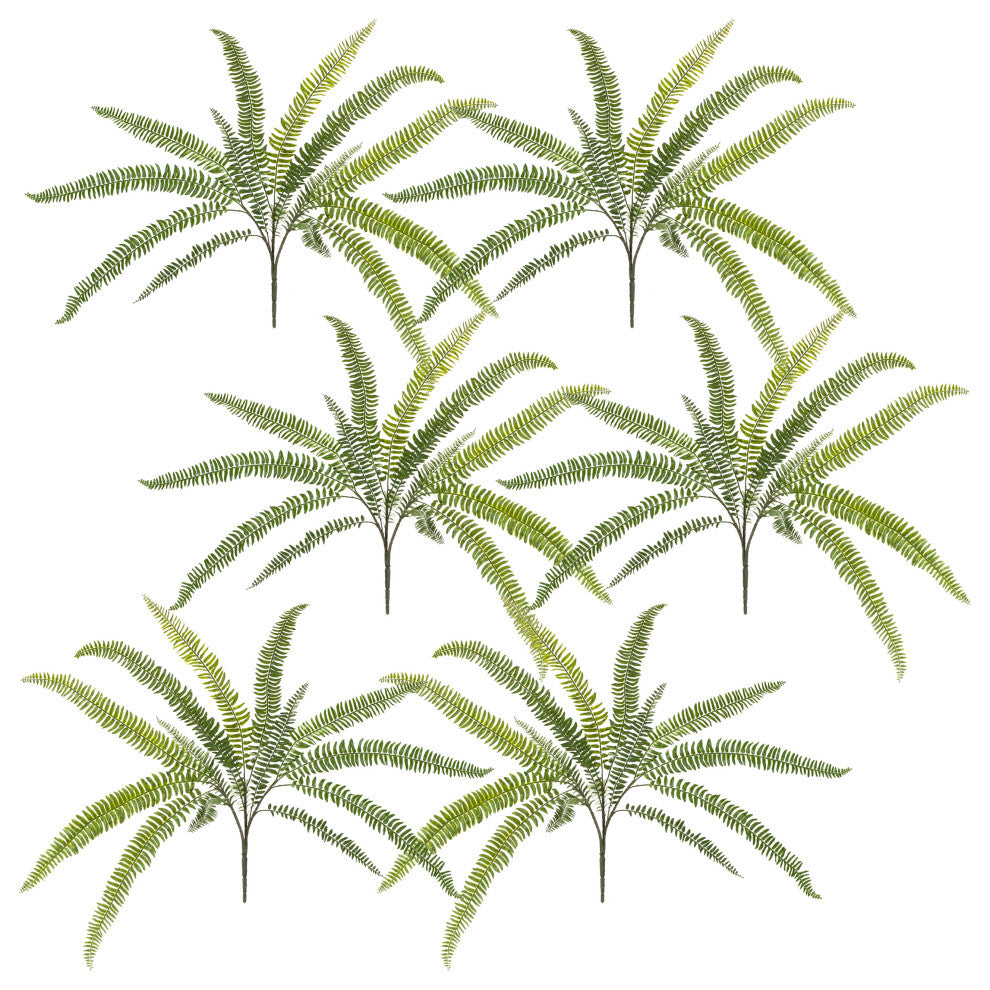 Fern Bush, 6-Piece Set