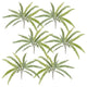 Fern Bush, 6-Piece Set